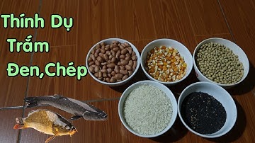 Công Thức Làm Thính Dụ Câu Lục Cá Trắm Đen,Cá Chép Đơn Giản Và Hiệu Quả