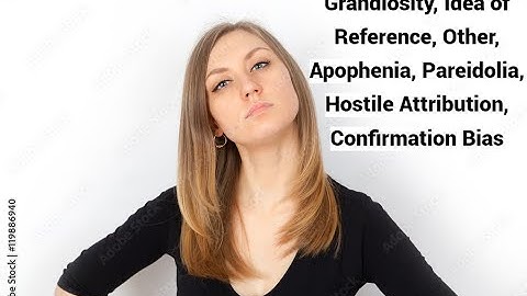 Grandiosity, Idea of Reference, Other, Apophenia, Pareidolia, Hostile Attribution, Confirmation Bias