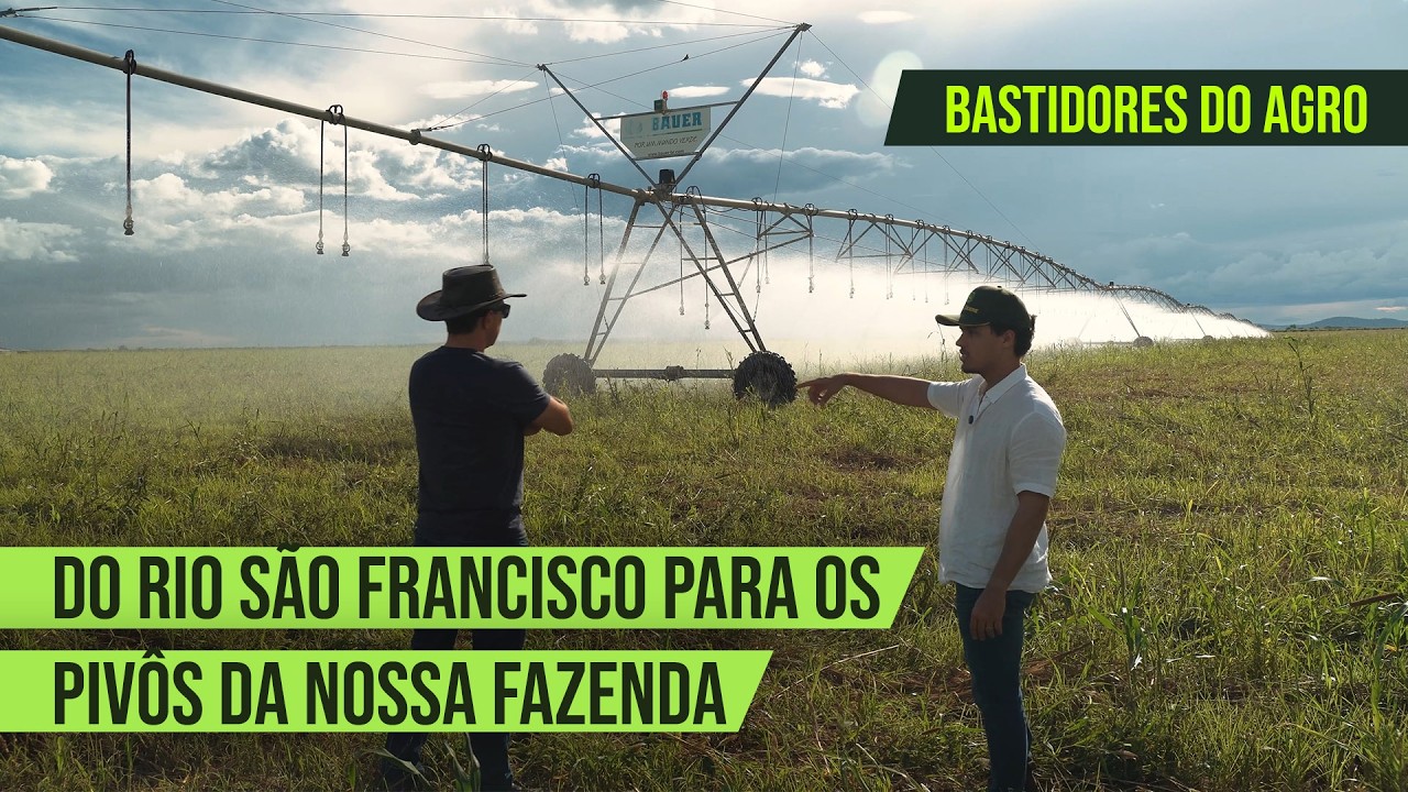 COMO VAMOS ECONOMIZAR MILHÕES COM UMA MEDIDA SIMPLES NA NOSSA FAZENDA | Diário de Fazendeiro EP02