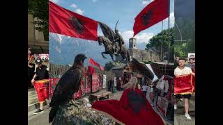 Albanian Eagle Flag screenshot 3