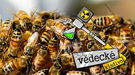 Proč včely vymírají? - Vědecké kladivo