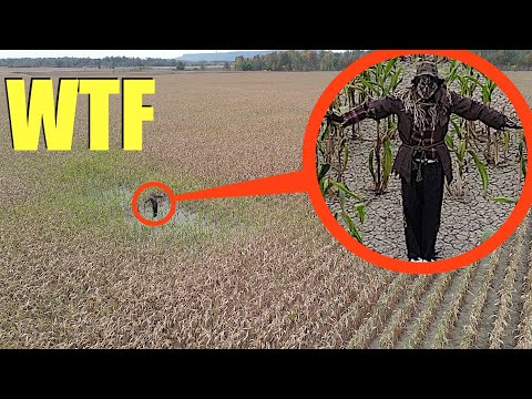 you won't believe what my drone saw in this haunted cornfield.. (the scarecrow is alive!)