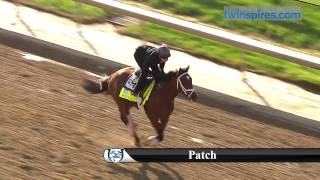 Patch 2017 Kentucky Derby Hopeful 5.01