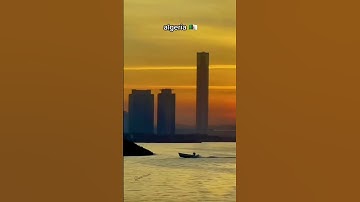 #القارئ عبدالرحمن مسعد #اكسبلور #كتب #nature