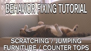 How to STOP scratching or jumping on furniture or counter tops by CATMANTOO 4 years ago 8 minutes 93,843 views