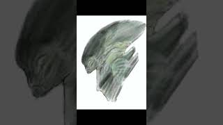 Timelapse drawing on procreate #timelapse #alien #drawingtutorial #digitalart #procreateart