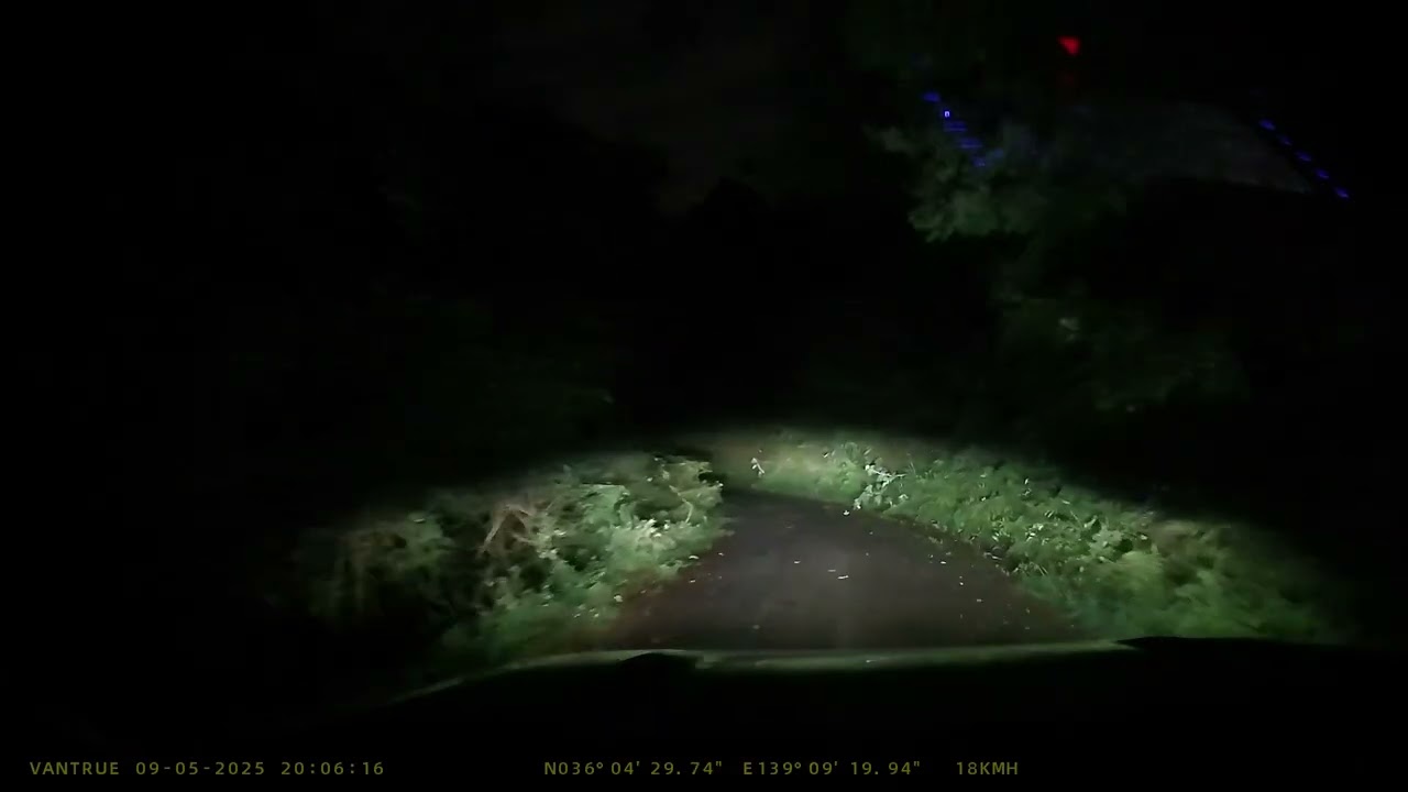 20250905 東秩父の山中でイノシシに遭遇