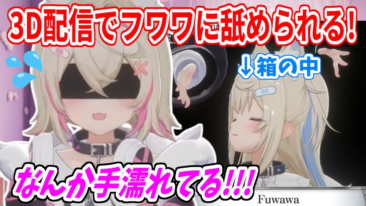 箱の中身を当てるゲームで、箱の中のフワワがモコちゃんの指を舐めて、怖がらせる！【ホロライブ切り抜き/FUWAMOCO/フワモコ】