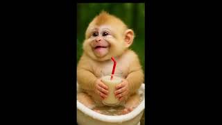 Download Lagu Senyum... 😅 MP3