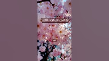 #قران #اكسبلور #المصحف #quran #حالات_واتس #المنشاوي #سورة-الأنفال