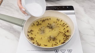 No more flies, ants or cockroaches in house