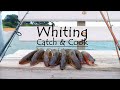 Whiting (Catch & Cook) Easy Tasty Recipe