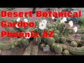 The Desert Garden: Phoenix Arizona