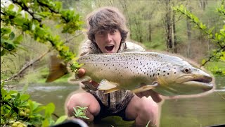FREEZING Cold Wade Up River Results in MEGA Trout! (15 lbers In Here)