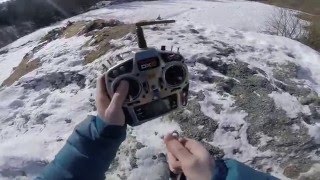 T-Rex 600EFL 12s