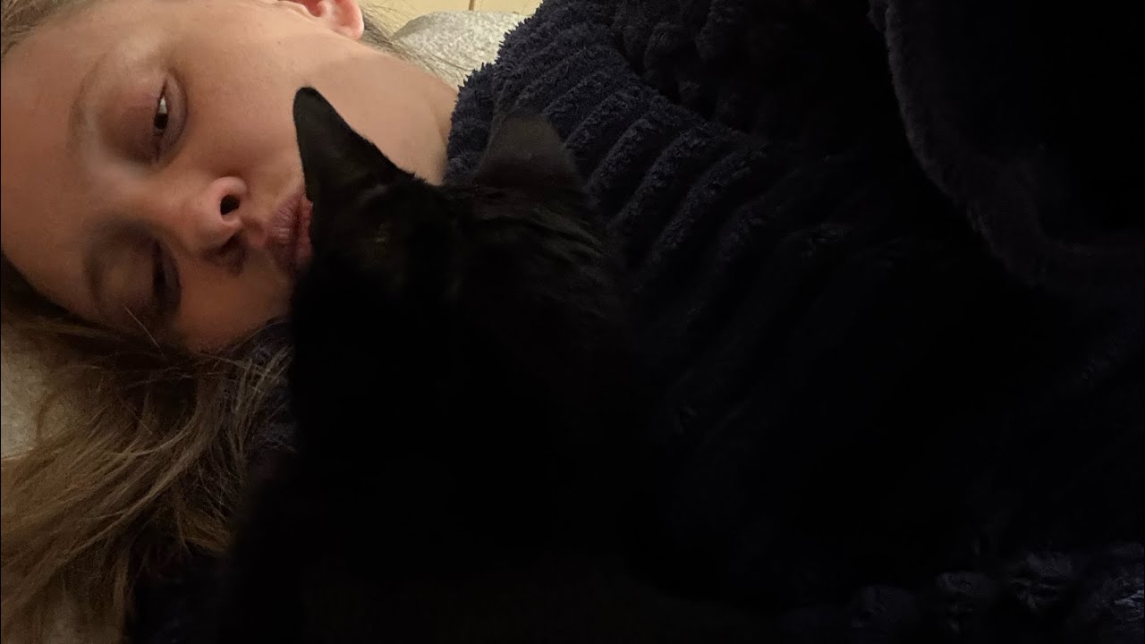 Рік ШОК на ШОЦІ