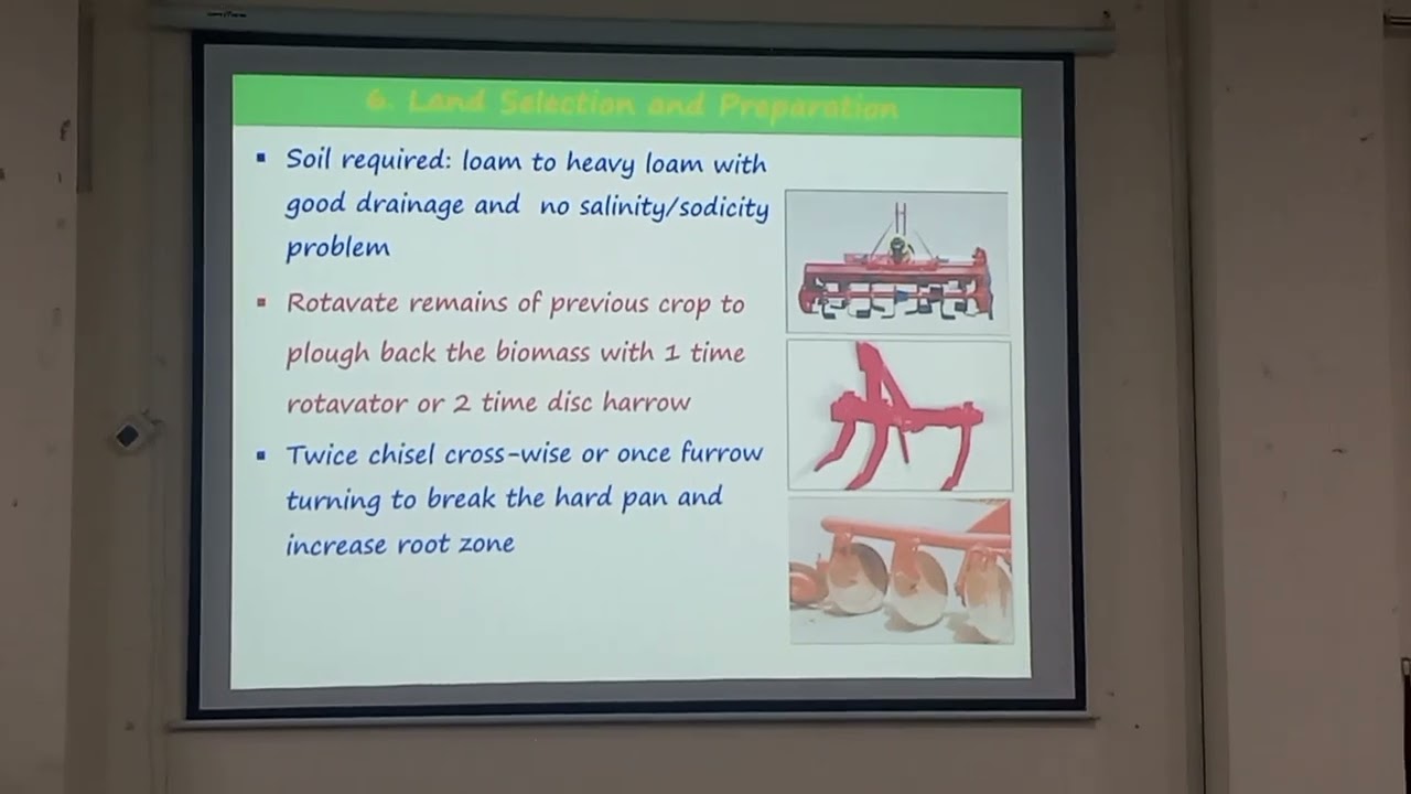 SRDB Training on Sugarcane Varieties and Production Technology at MNSUA Multan.