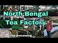 North Bengal Tea Factory | চা তৈরির ফ্যাক্টরী | #teafactory #teagarden @360abu #tea