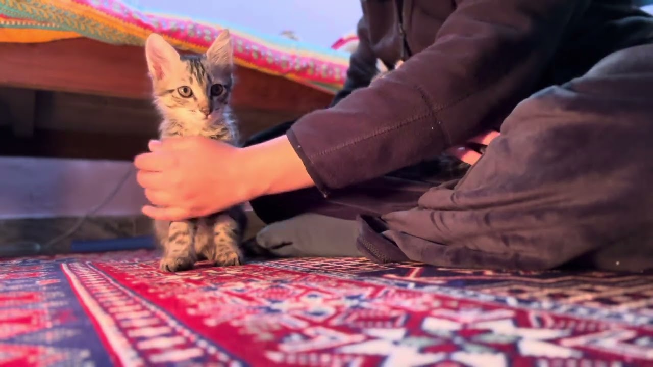 Good night people 💕 