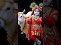 #बंदे करले भजन हरि का#karle##bhajan Hari ka#shortsfeed #shortvideo #sanatan #dharmik #🚩🚩🚩🚩🚩