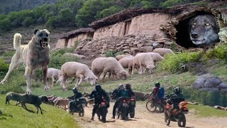 Anadoluda Çobanin Zorlu Yaşami Kisa Belgesel