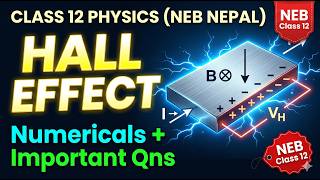 Hall Effect in Nepali 🔥 | Class 12 Physics NEB | Numericals | Dilli Sir | ClampHook