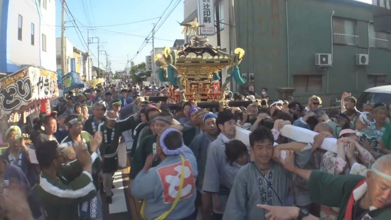 令和７年　流山市＜加岸・大杉神社＞例大祭　本社大神輿＝【怒涛】渡御・宮入道中（本町通り）宮入庫入り）