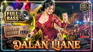 ⚡ DALAN LIANE — Koplo Full Bass Terbaru 2026 Paling Bikin Goyang💃