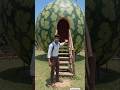 🍉 Giant Watermelon House AI 😱 | Inside Tour Magic! #shorts #aivideo