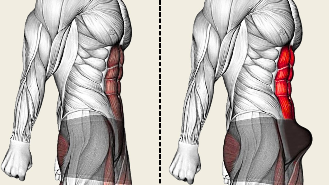 Ejercicios de Kegel: Rutina Funcional de 13 Minutos para Fortalecer el Suelo Pélvico