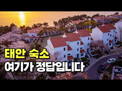 태안 가서 여기 안 가면 100% 후회! 나만 알고 싶은 태안 역대급 숙소 공개