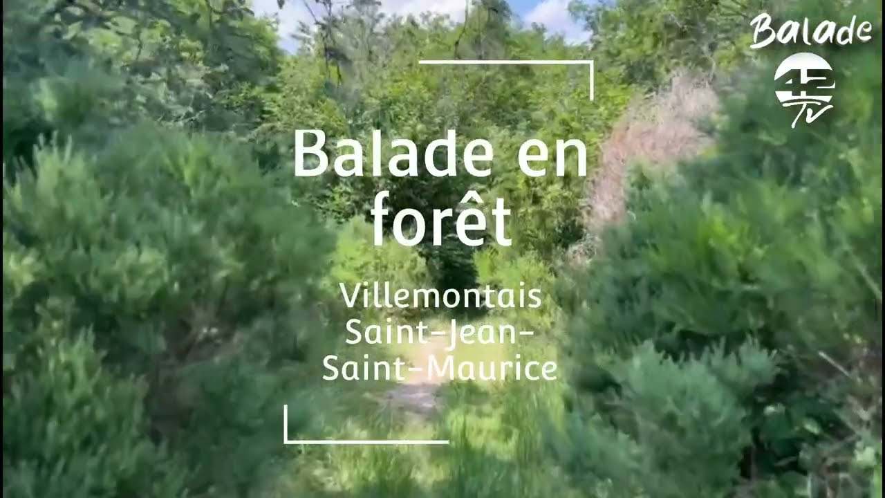 ⁣[BALADE 42TV] Une balade en forêt entre Villemontais et St Jean St Maurice sur Loire