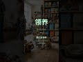 🇨🇳 Chinese vocabulary drop #19 — save this for your next study session! 💪