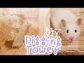 Digging Tower ☆HAMSTER DIY☆ Mp3