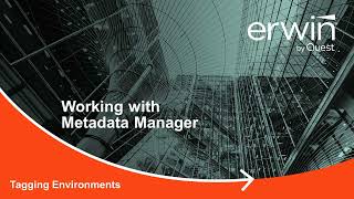 Metadata Manager Tagging Environments v12