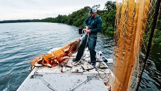 Cashing in on the Mullet Run! (Massive Catch)