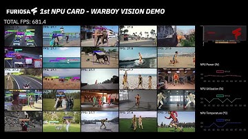 1 x  Furiosa WARBOY Card with 25 Video Channel Deep Image Analytic [4K]