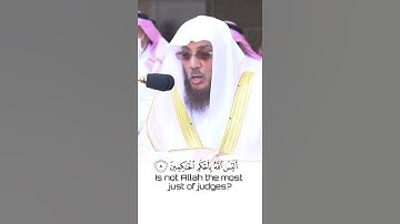 سورة تين للشيخ أسامة خياط #أسامة_خياط