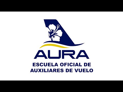 Escuelas De Auxiliares De Vuelo En Texas