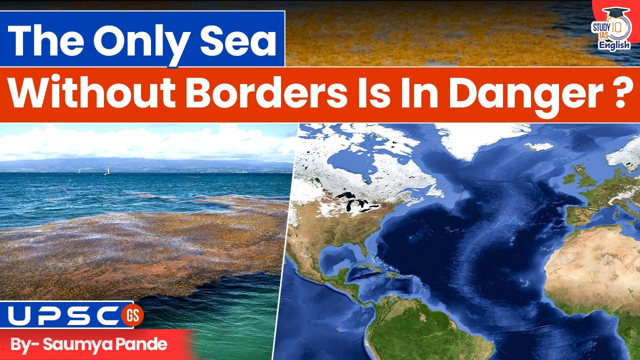 Why are Tourists Avoiding Florida Beaches? | Real Danger of the Sea Explained! | By Saumya Pande