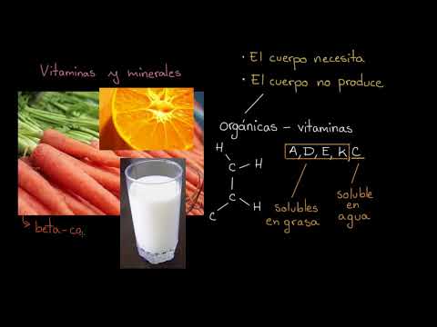 Vídeo: Diferencia Entre Vitaminas Y Minerales