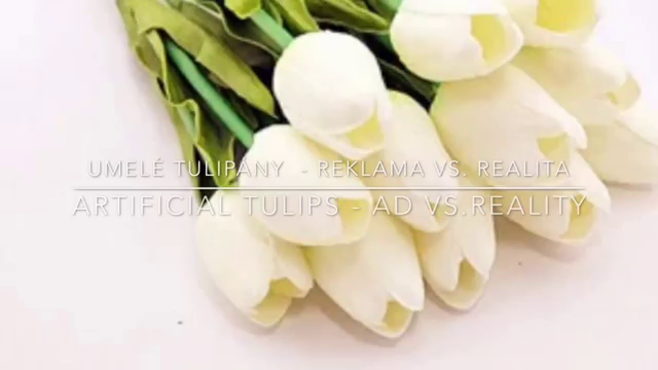 Aliexpress unboxing artificial tulips with link Otváranie balíka z Aliexpress tulipány video phone beyonce mp3
