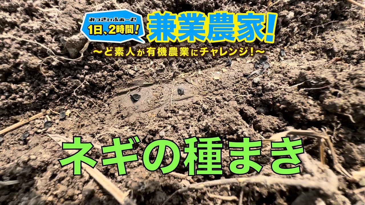 岩津ネギ栽培】種まきして苗作り！ 農業初心者が有機農業にチャレンジ