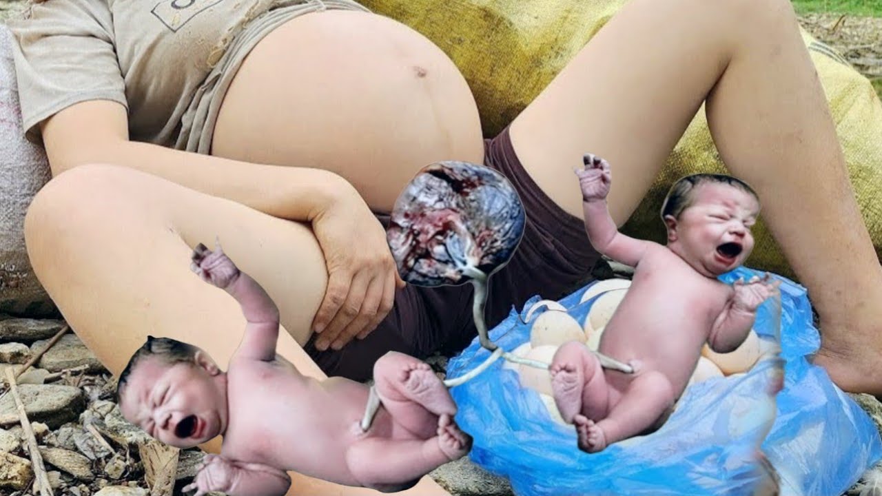 Homeless girl harvests peanuts to sell, takes care of pets, life in the forest