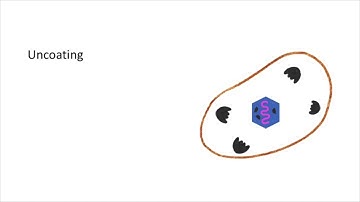 virus replication--for ocular disease