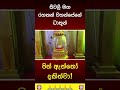 ධාතූන් වහන්සේලා 🙏🙏 #buddha #motivation #quotes #bana #budhuguna #dhamma #pirith #wedding