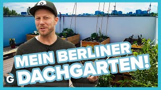 Urban Gardening  mit Vince