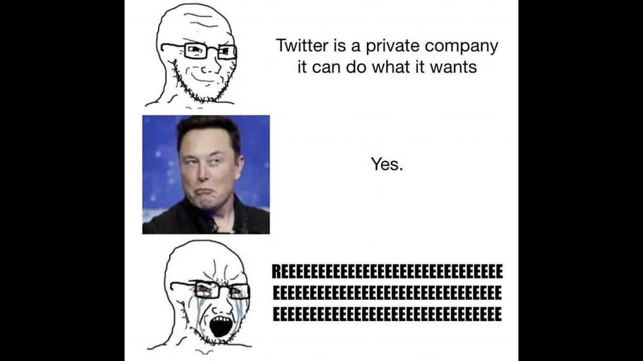 THE GREAT MELTDOWN OF OUR TIMES: LEFTIST TWITTER LOSES IT OVER ELON MUSK  BUYING TWITTER LOL