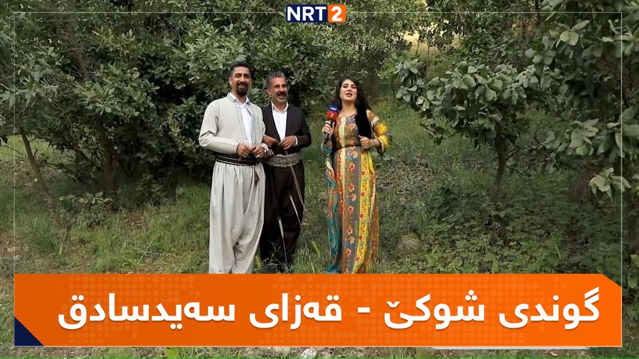GWNDI SHWKE - QAZAY SAYDSADQ | گوندی شوکێ - قەزای سەیدسادق