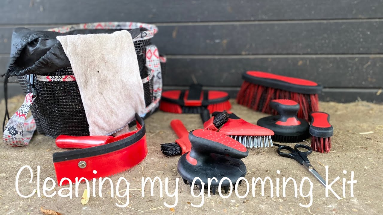 How to clean your horses grooming brushes easily and why it’s so